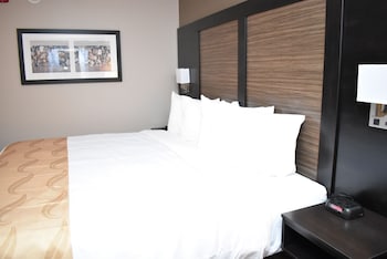 Standard Room, 1 King Bed, Non Smoking