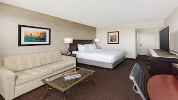 Standard Room, 1 King Bed with Sofa bed