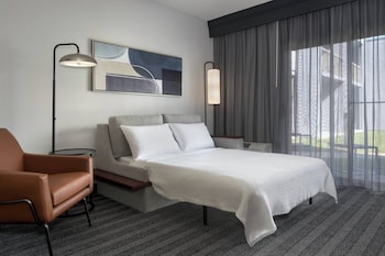 Room, 1 King Bed with Sofa bed