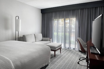 Room, 1 King Bed with Sofa bed