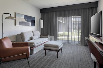 Room, 1 King Bed with Sofa bed