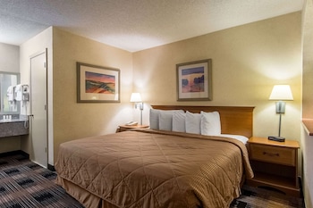 Standard Room, 1 King Bed, Non Smoking