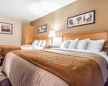 Deluxe Room, 2 Queen Beds, Refrigerator & Microwave, Ground Floor