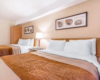 Deluxe Room, 2 Queen Beds, Refrigerator & Microwave, Ground Floor