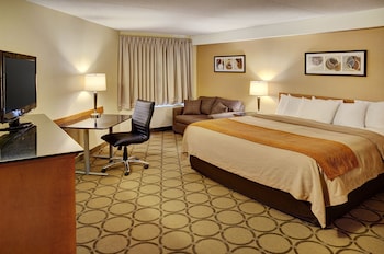 Deluxe Room, 1 King Bed, Refrigerator & Microwave, Ground Floor