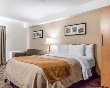 Deluxe Room, 1 Queen Bed, Refrigerator & Microwave, Ground Floor