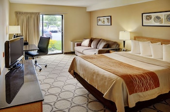 Deluxe Room, 1 Queen Bed, Refrigerator & Microwave, Ground Floor