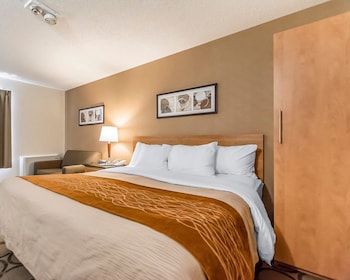 Deluxe Room, 1 King Bed, Refrigerator & Microwave, Ground Floor