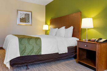Room, 1 King Bed, Accessible, Non Smoking