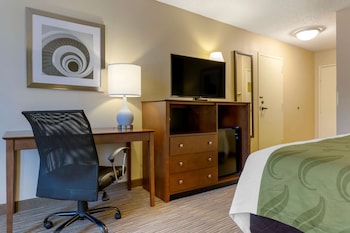 Room, 1 King Bed, Accessible, Non Smoking