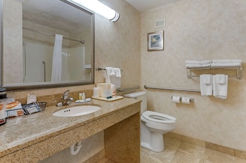Room, 1 King Bed, Accessible, Non Smoking