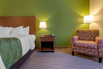 Room, 1 King Bed, Accessible, Non Smoking