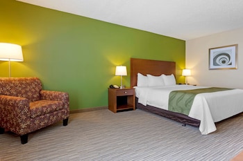 Standard Room, 1 King Bed, Non Smoking