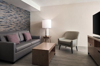 Deluxe Studio, 1 King Bed with Sofa bed (Hearing Accessible)