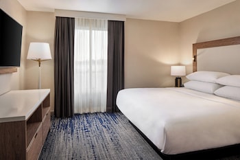 Traditional Room, 1 Queen Bed (Mobility Accessible, Roll-In Shower)