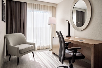 Executive Suite, 1 King Bed with Sofa bed