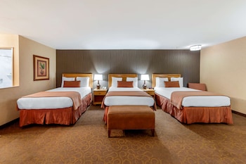 Suite (1 King Bed)