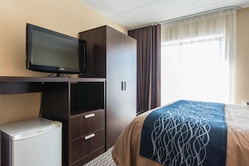 Room, 1 Queen Bed with Sofa bed, Non Smoking