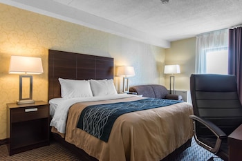 Comfort Care, Standard Room, 1 Queen Bed with Sofa bed, Non Smoking