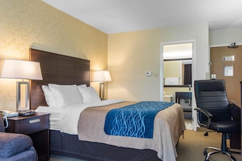 Room, 1 Queen Bed with Sofa bed, Non Smoking