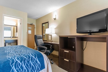 Comfort Care, Standard Room, 1 Queen Bed with Sofa bed, Non Smoking