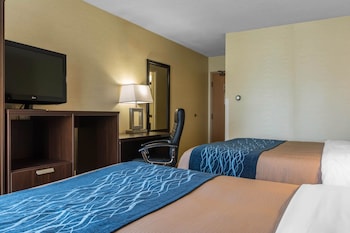 Standard Room, 2 Double Beds, Non Smoking, Ground Floor