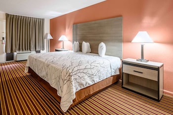 Room, 1 King Bed, Non Smoking
