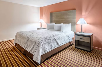 Room, 1 King Bed
