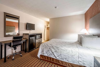 Room, 1 King Bed