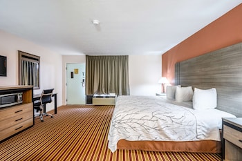 Suite, 1 King Bed, Smoking