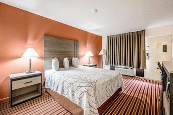 Room, 1 Queen Bed, Non Smoking