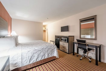 Room, 1 King Bed, Non Smoking