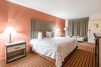 Room, 1 King Bed
