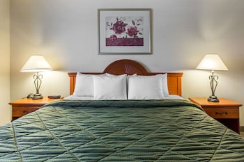Standard Room, 1 King Bed, Non Smoking, Refrigerator