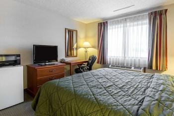 Standard Room, 1 King Bed, Non Smoking, Refrigerator
