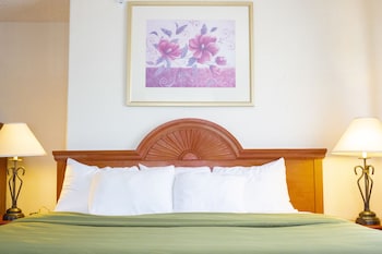 Standard Room, 1 King Bed, Non Smoking, Refrigerator