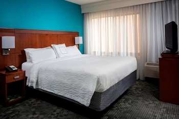 Room, 1 King Bed with Sofa bed, Accessible (Mobility Tub)