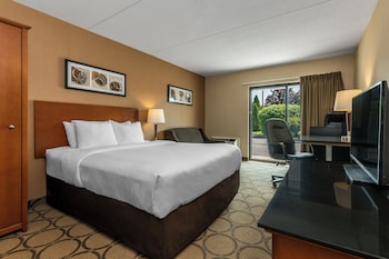 Room, 1 King Bed with Sofa bed, Non Smoking (Efficiency)