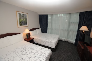 Superior Double Room, 2 Double Beds
