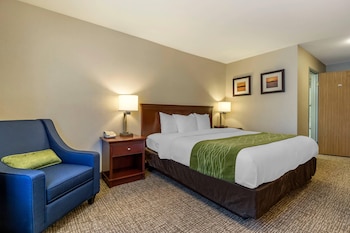 Standard Room, 1 King Bed, Non Smoking