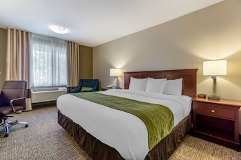 Standard Room, 1 King Bed, Non Smoking