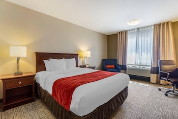 Standard Room, 1 Queen Bed, Non Smoking