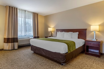 Suite, Multiple Beds, Non Smoking
