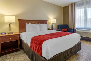Room, 1 Queen Bed, Accessible, Non Smoking
