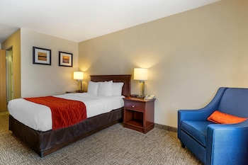 Standard Room, 1 Queen Bed, Non Smoking