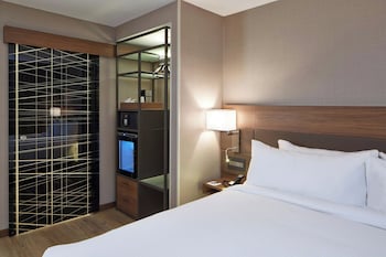 Room, 1 King Bed