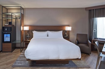 Room, 1 King Bed