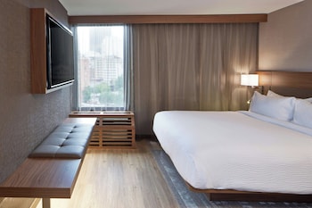 Suite, 1 Bedroom