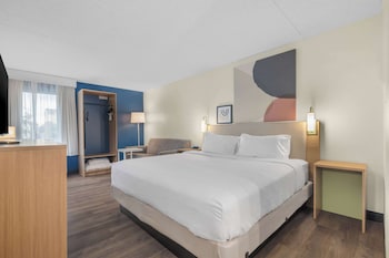 Room, 1 King Bed with Sofa bed