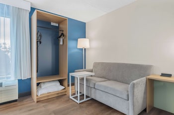 Room, 1 King Bed with Sofa bed